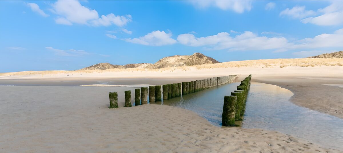 PDGIT5804103: Pali di legno sulla spiaggia a bassa marea