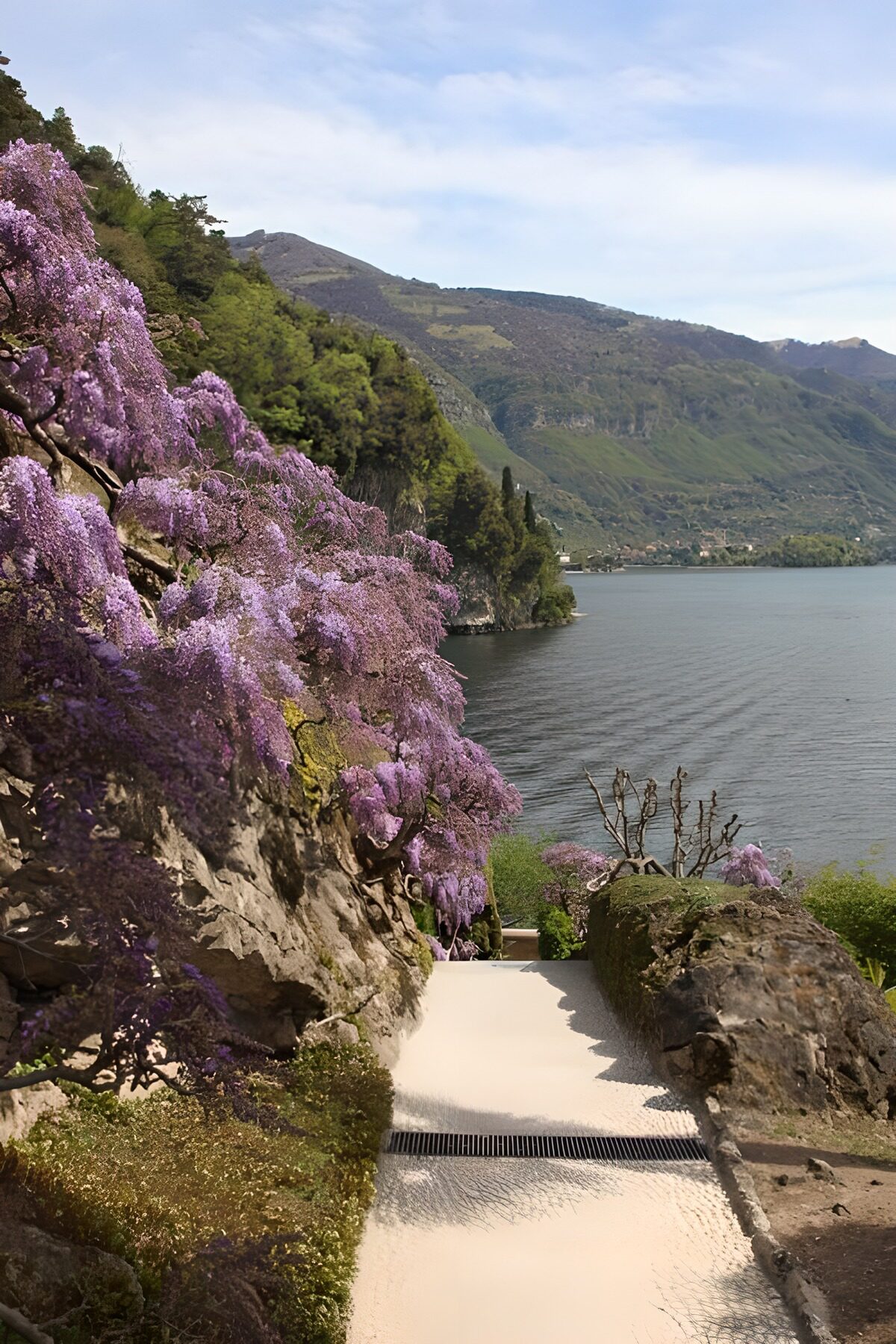 PDGIT2747510: Sentiero al lago tra rocce e fiori viola
