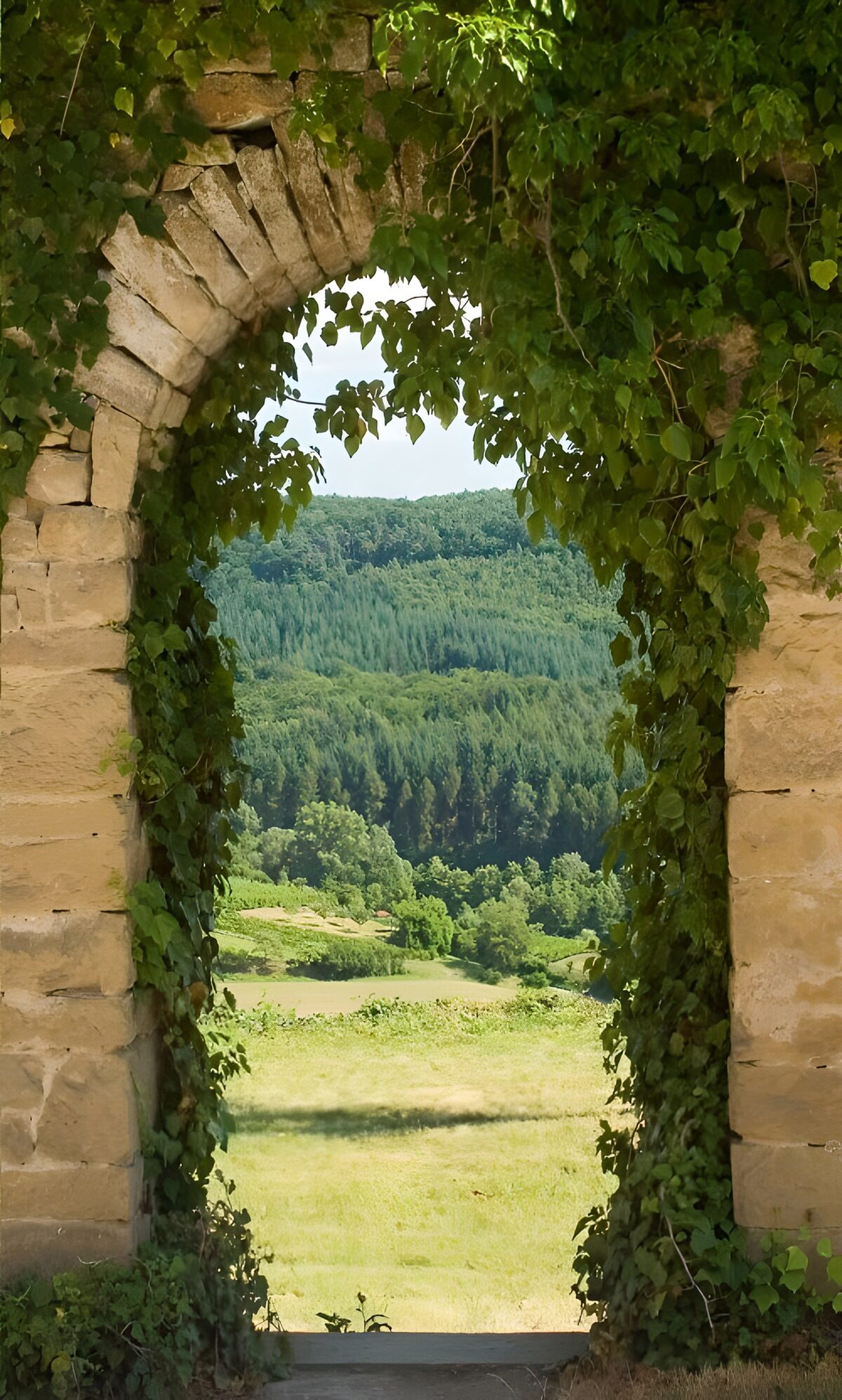 PDGIT5370289: Arco di pietra sul verde della campagna