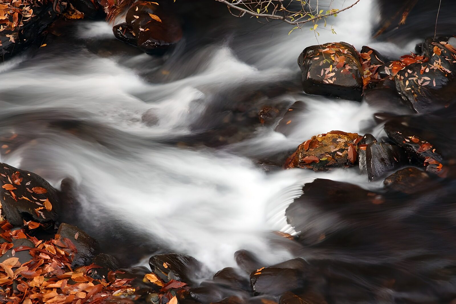 PDGIT6035952: Nastri d’acqua tra i colori d’autunno