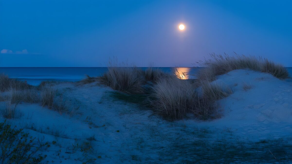 PDGIT2339989: Luna piena sul mare tra le dune