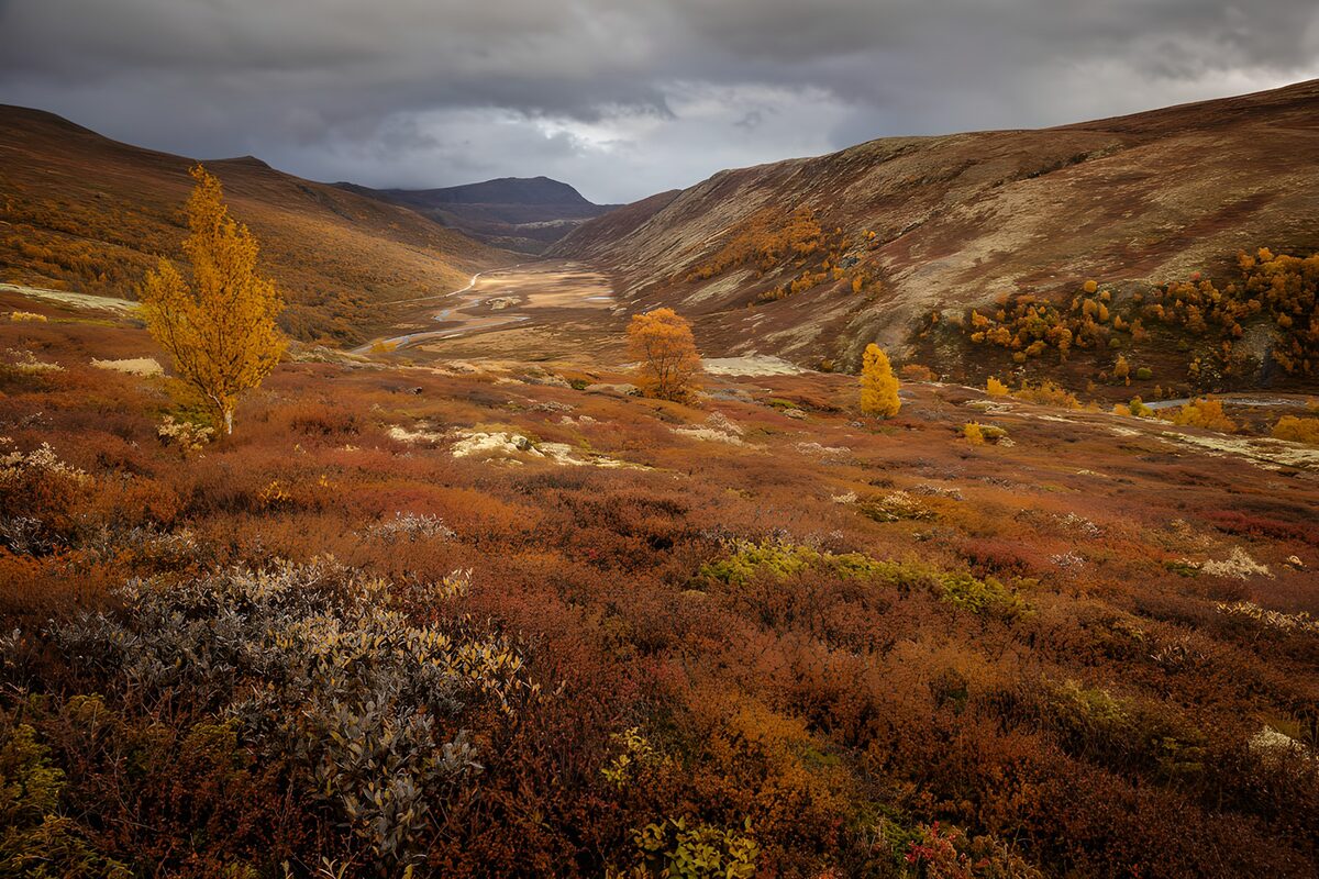 PDGIT9732892: Valle montana nei colori d’autunno