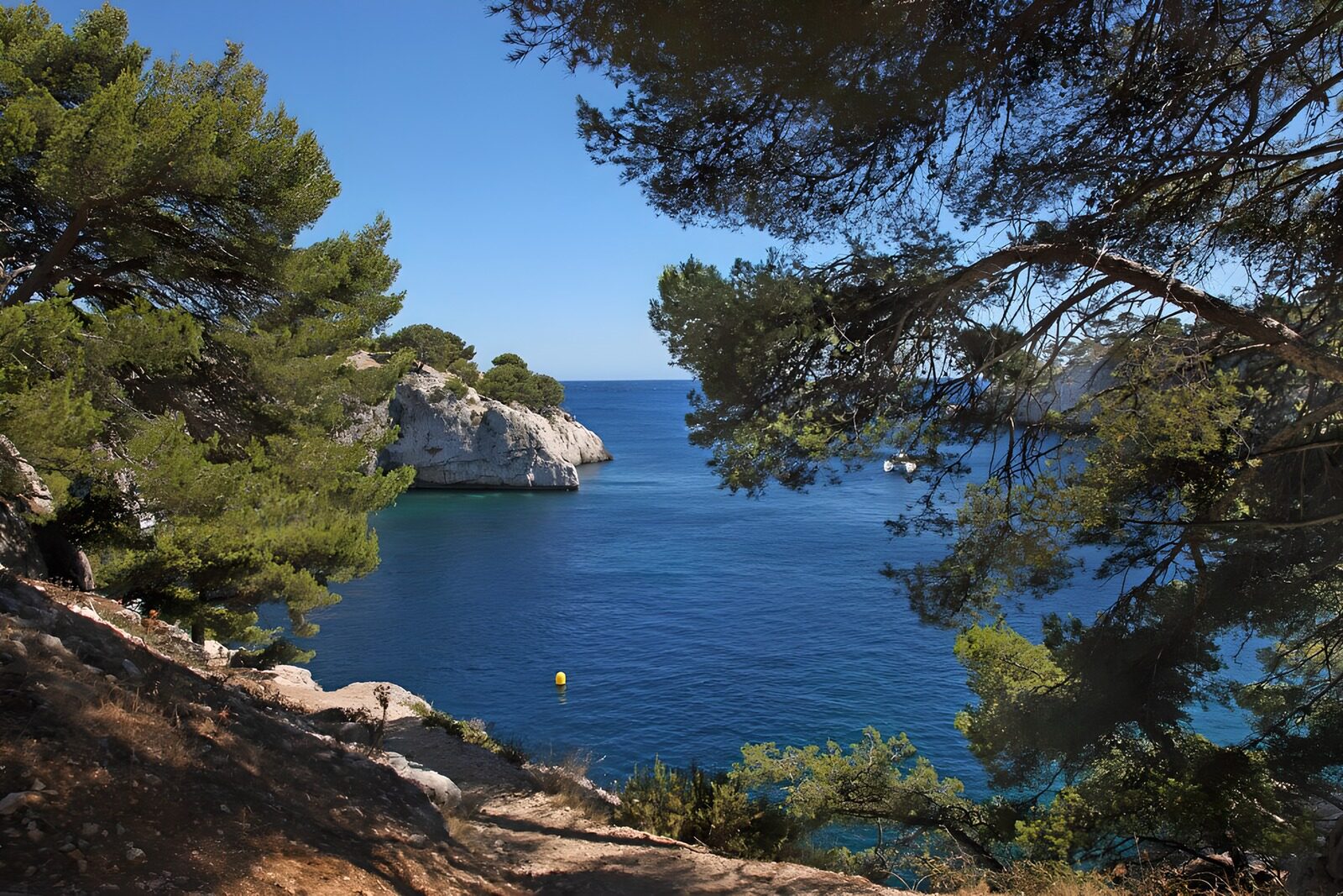PDGIT6555384: Baia rocciosa all’ombra dei pini