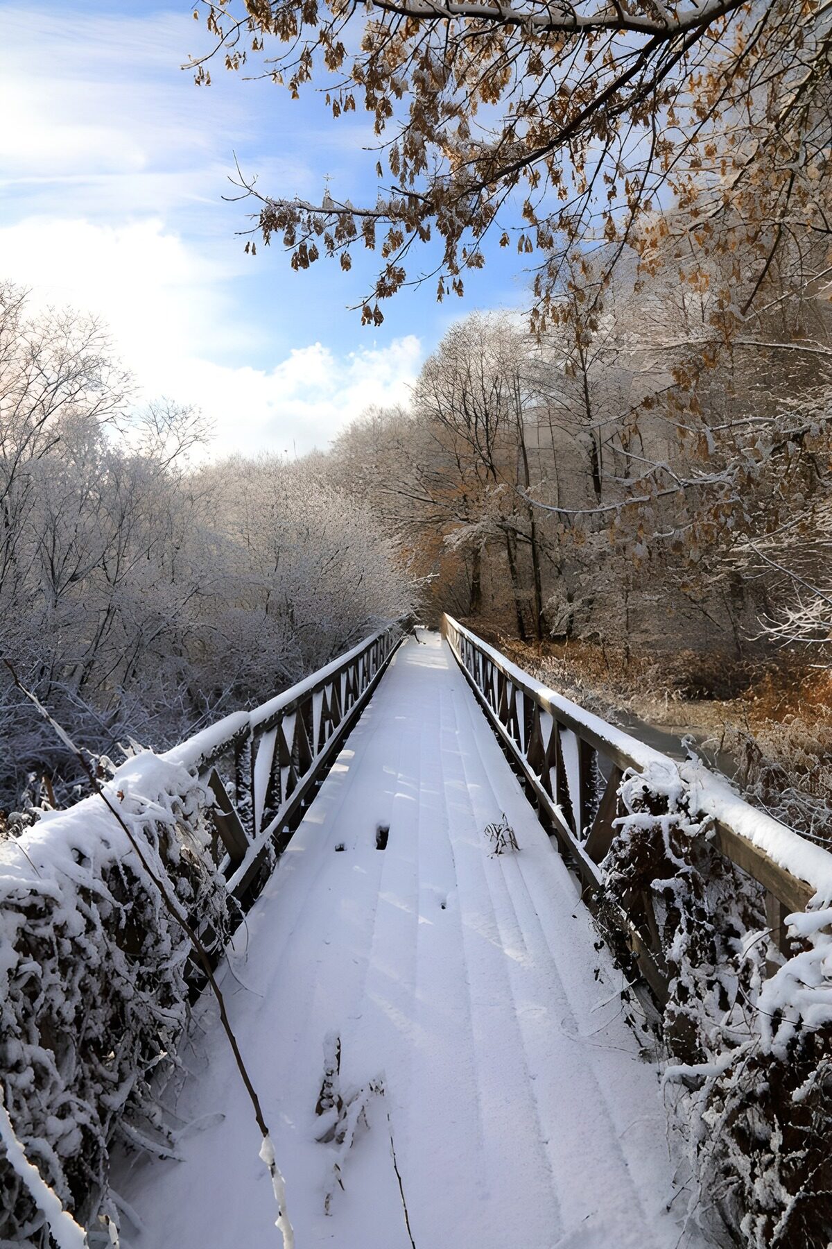 PDGIT9424881: Ponte di legno nella quiete della neve
