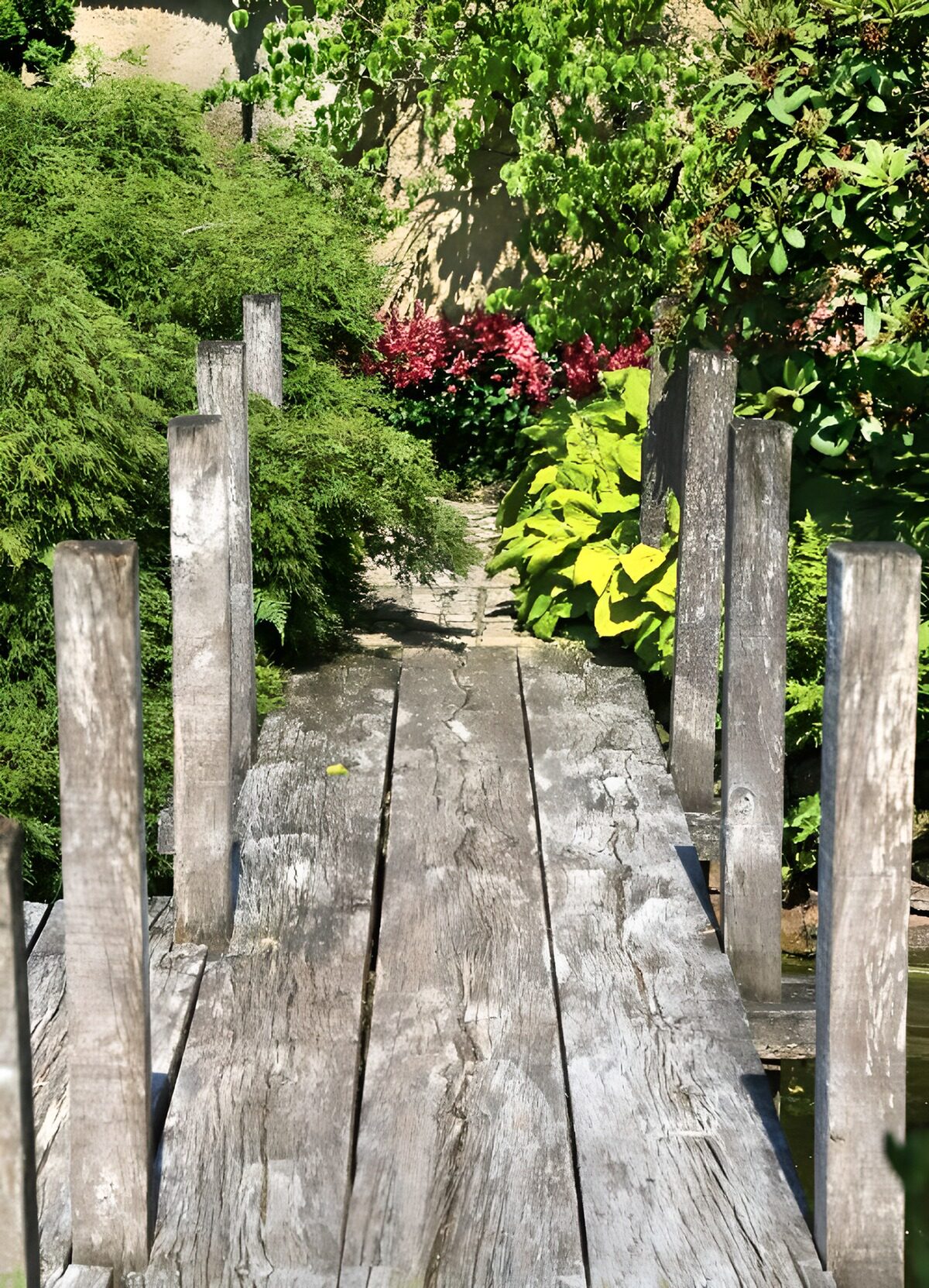 PDGIT6712645: Ponte di legno nel folto del giardino