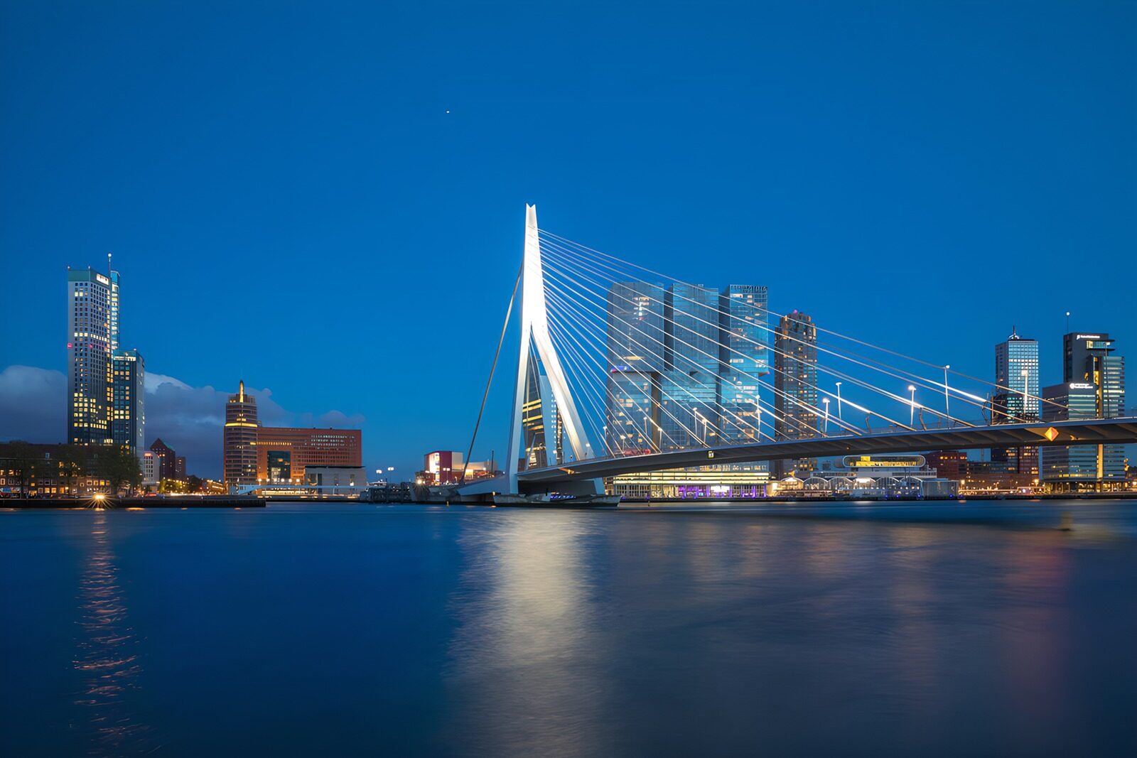 PDGIT2380580: Ponte Erasmus al crepuscolo