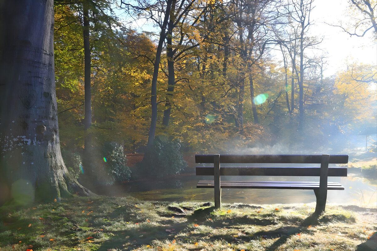 PDGIT9910994: Panchina sullo stagno nella luce d’autunno