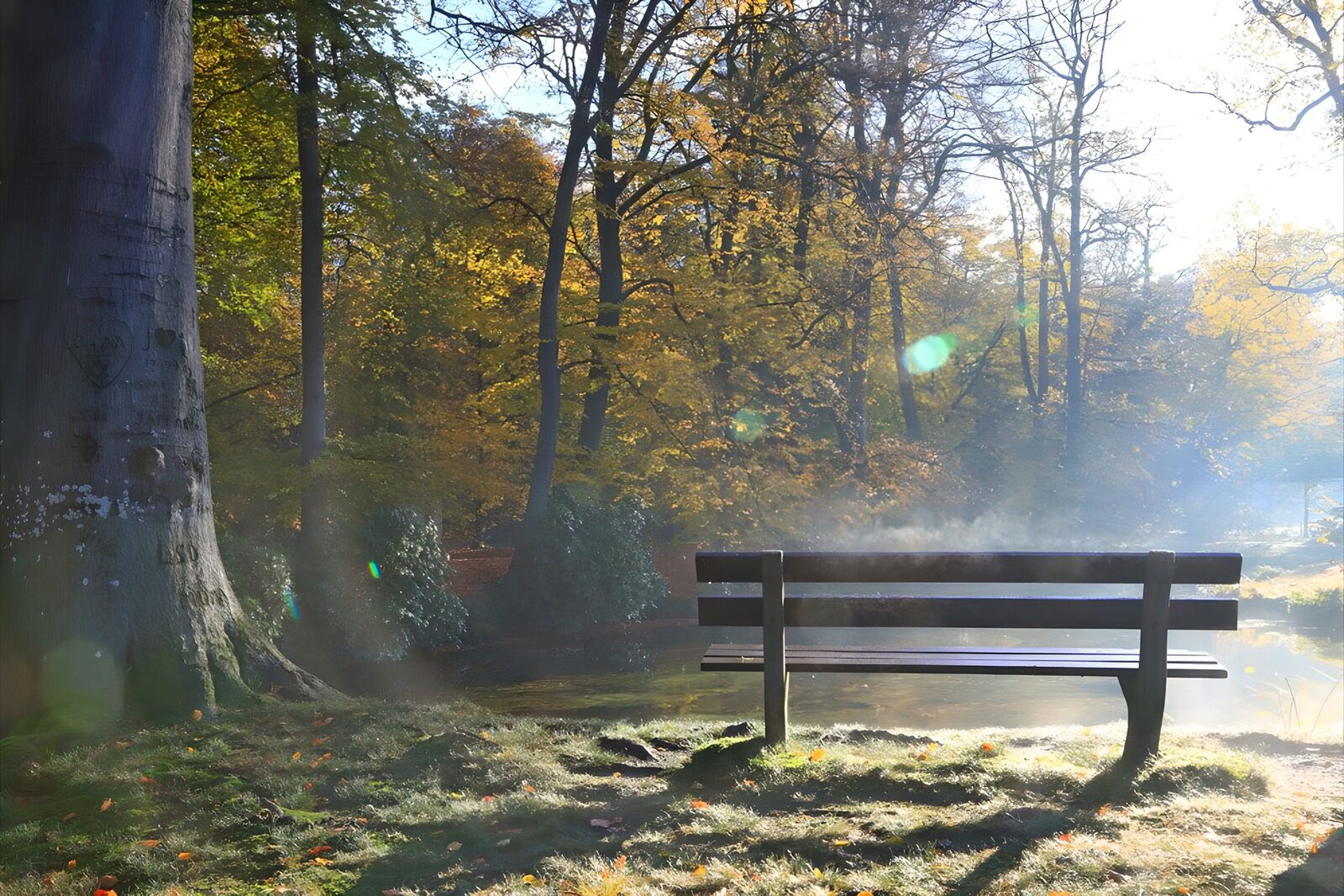 PDGIT9910994: Panchina sullo stagno nella luce d’autunno