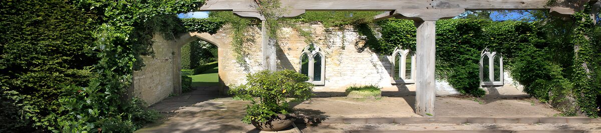 PDGIT2774318: Cortile di pietra tra sole e rampicanti