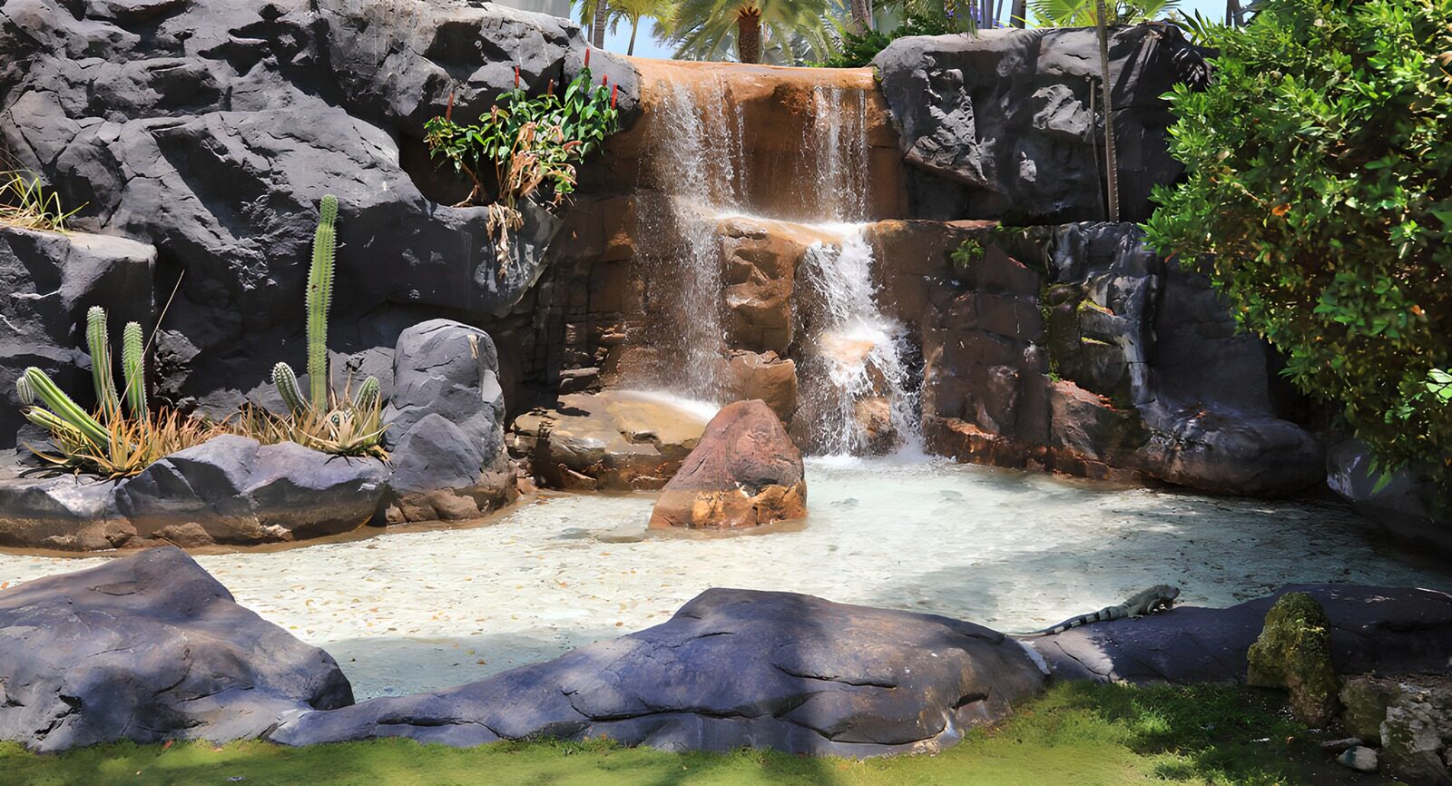 PDGIT6437930: Cascata tropicale con iguana al sole