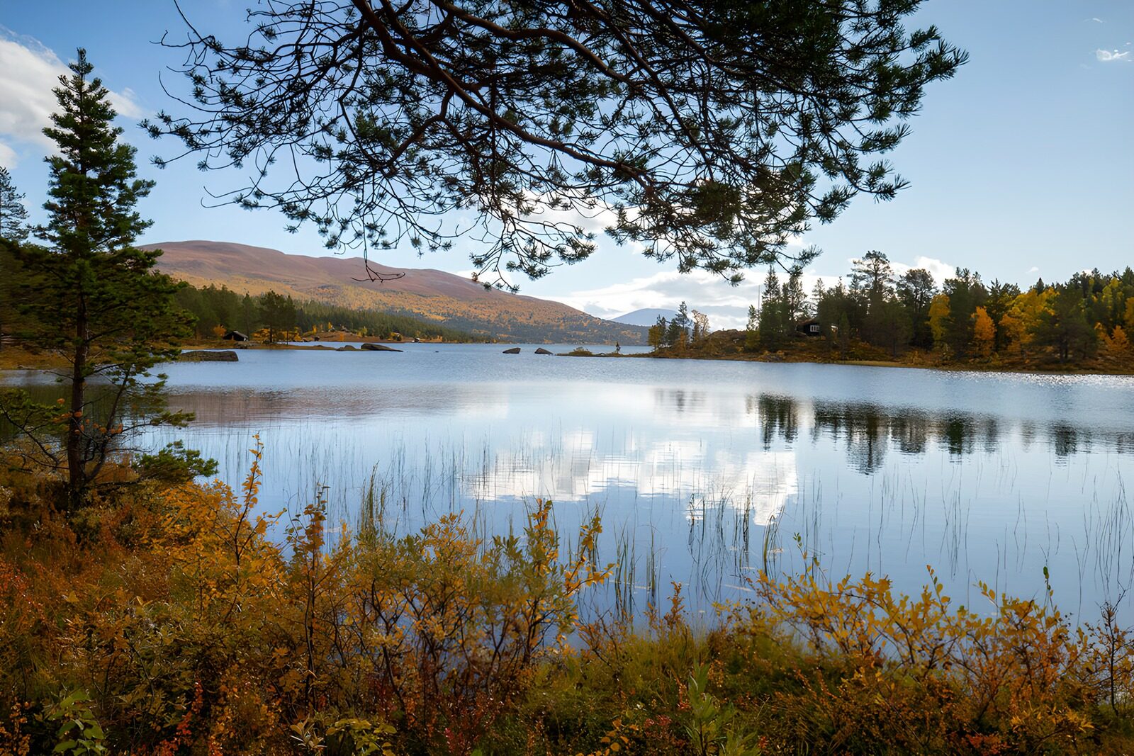 PDGIT2485564: Lago d’autunno tra boschi e colline