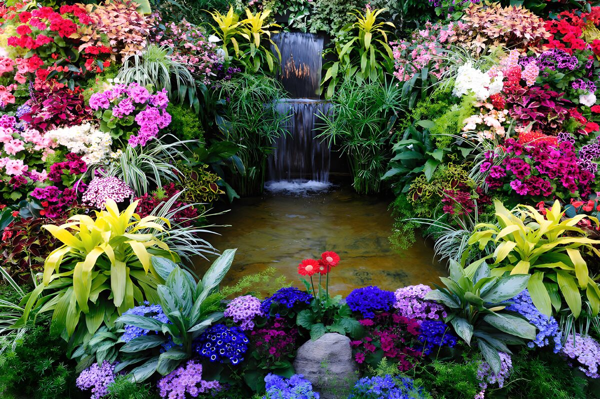 PDGIT7782337: Stagno e cascata tra fiori multicolori