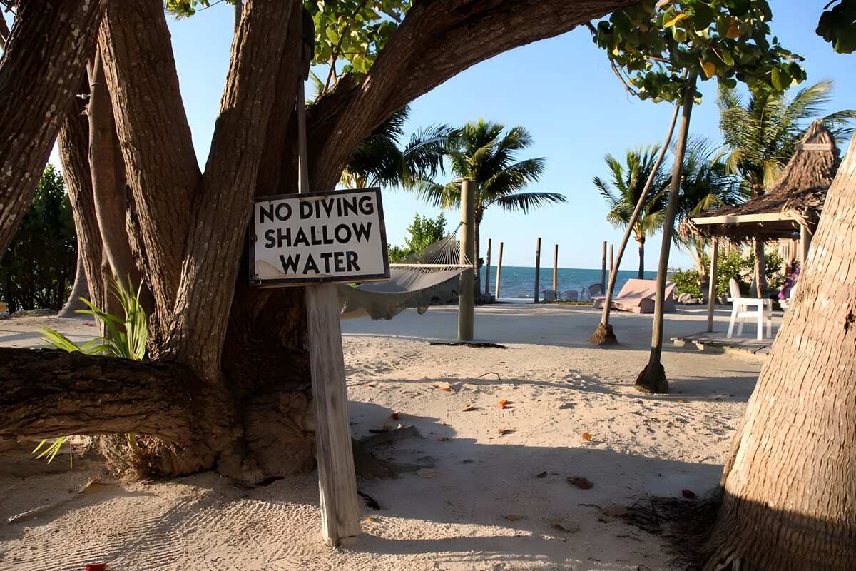 PDGIT6636098: Spiaggia tropicale con palme e amaca
