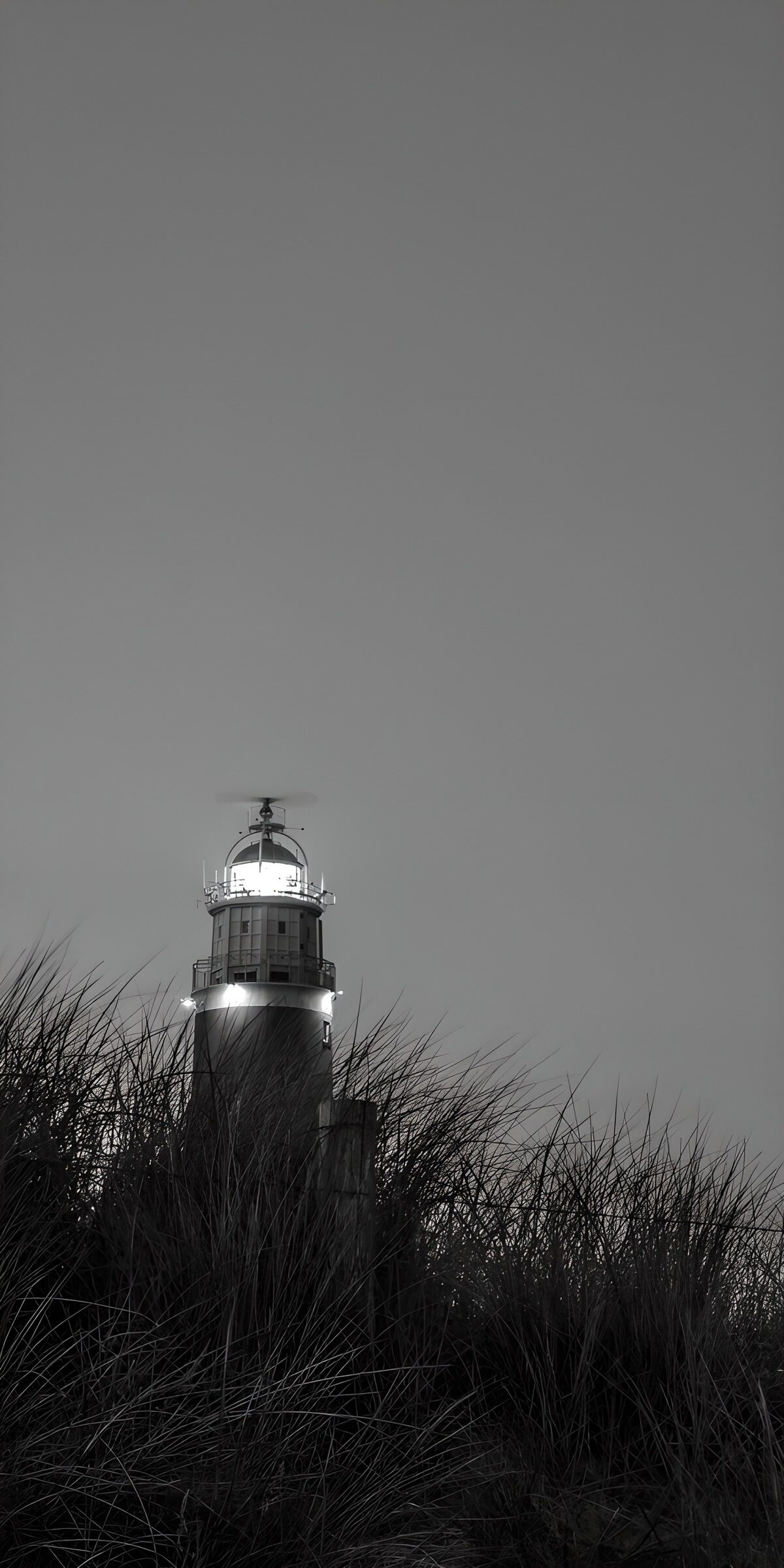 PDGIT7893923: Faro acceso tra le erbe delle dune