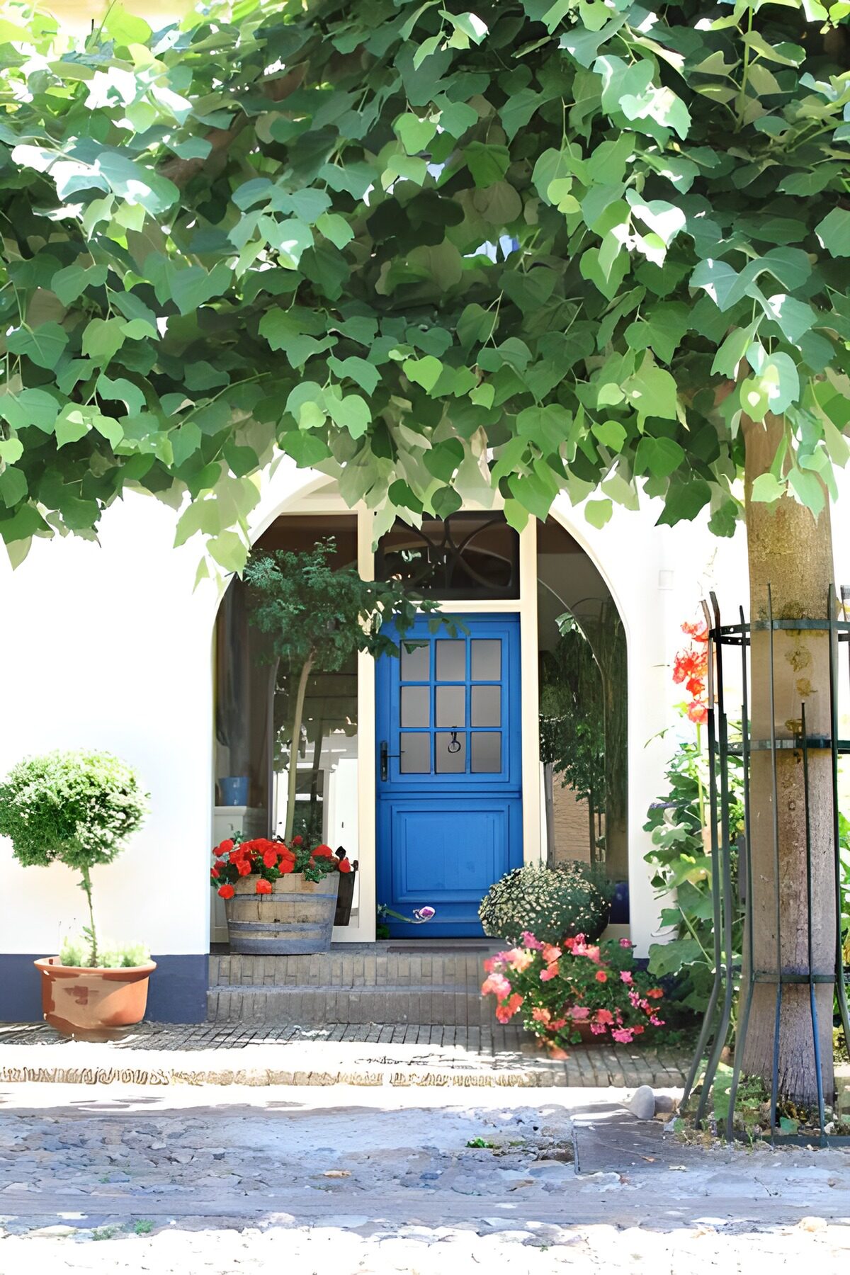 PDGIT1769395: La porta blu tra fiori e ombra