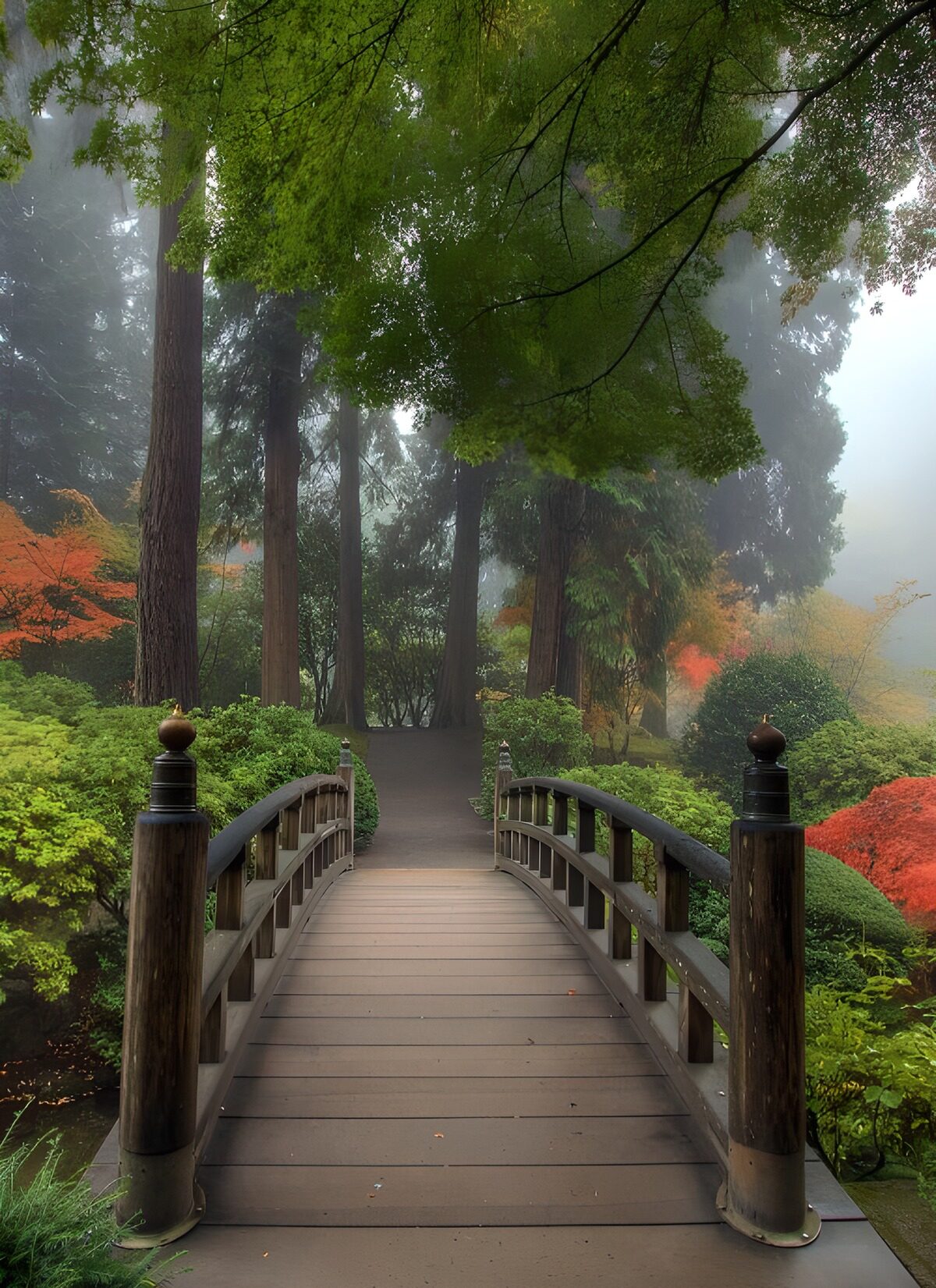 PDGIT3875574: Ponte di legno nel giardino d’autunno