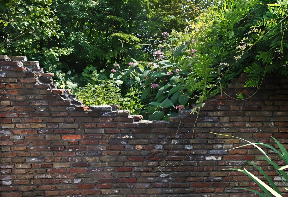 PDGIT9126876: Vecchio muro di mattoni tra il verde