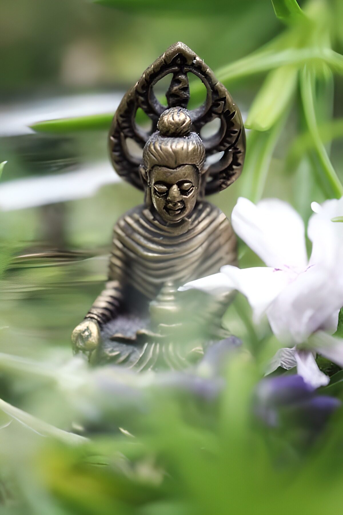 PDGIT8437474: Il sorriso del Buddha fiorisce nel verde