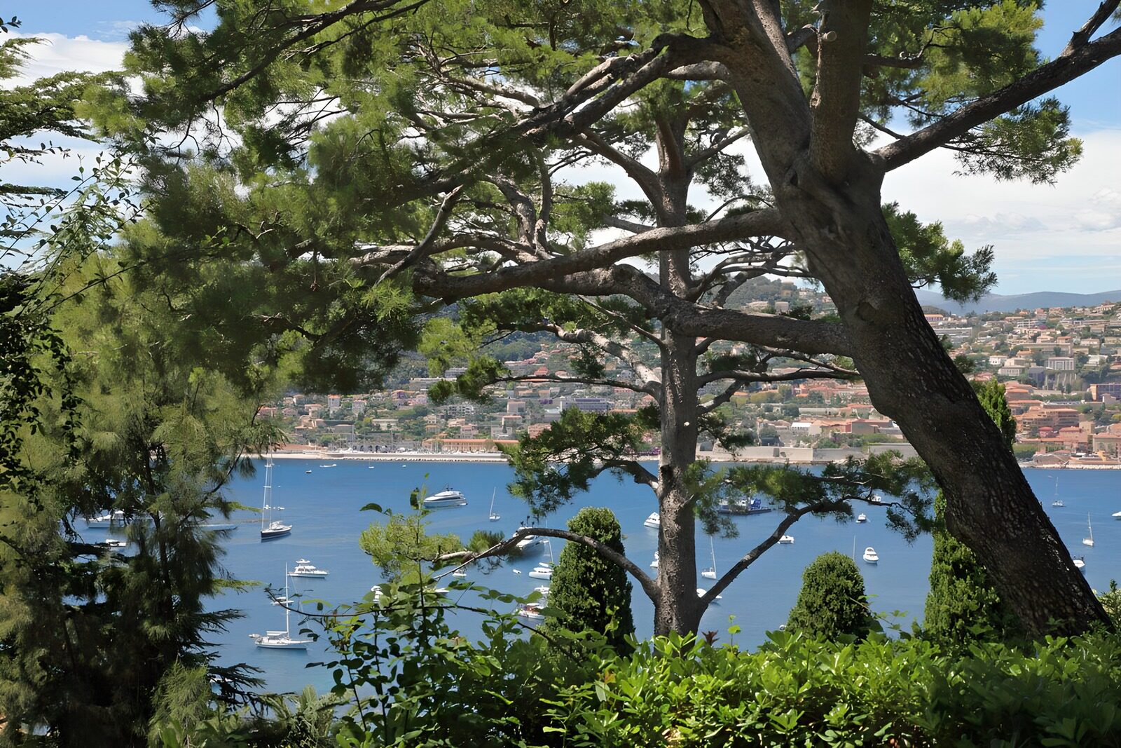 PDGIT6610517: Baia e barche nella cornice dei pini