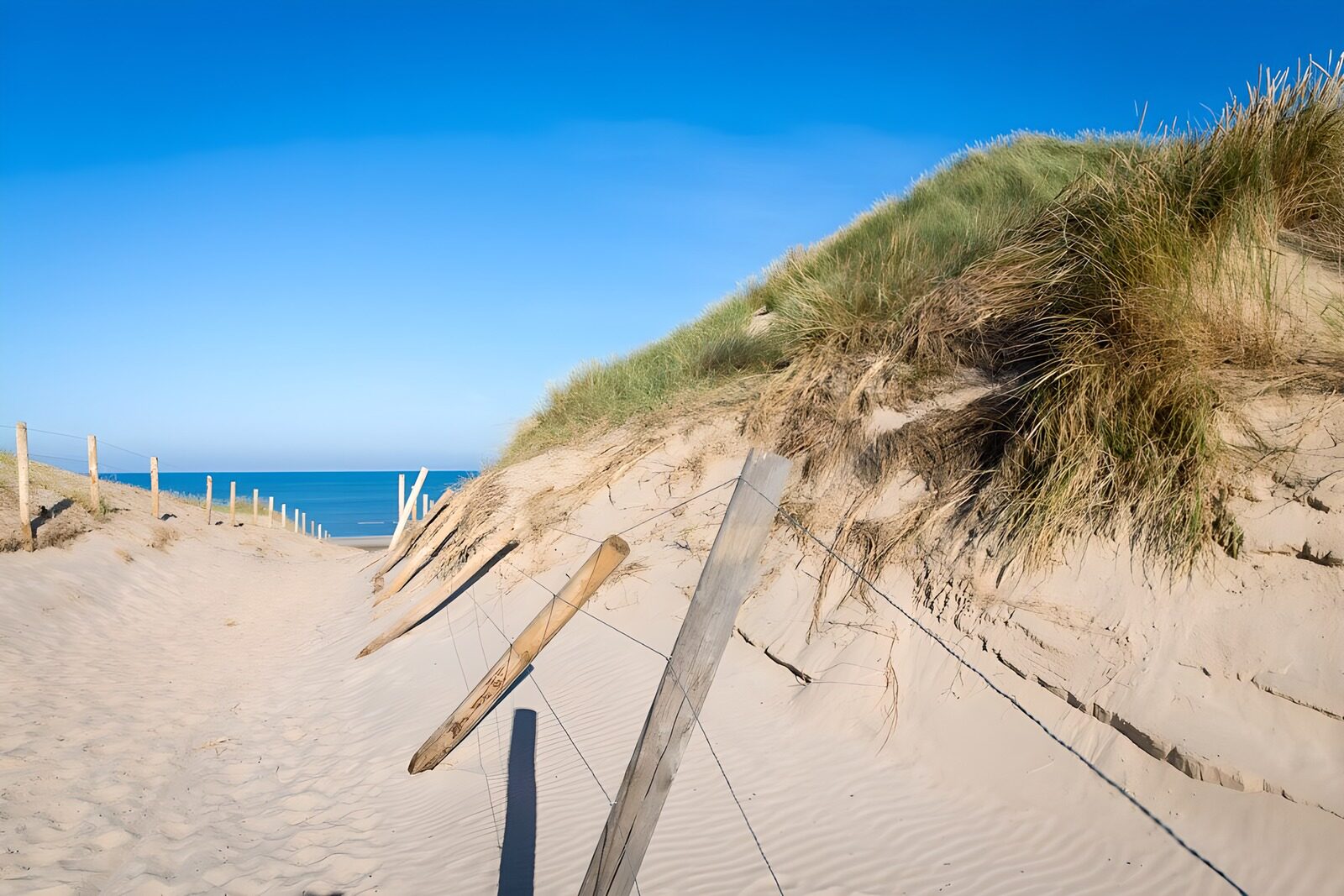 PDGIT3124272: Tra le dune, un filo di mare