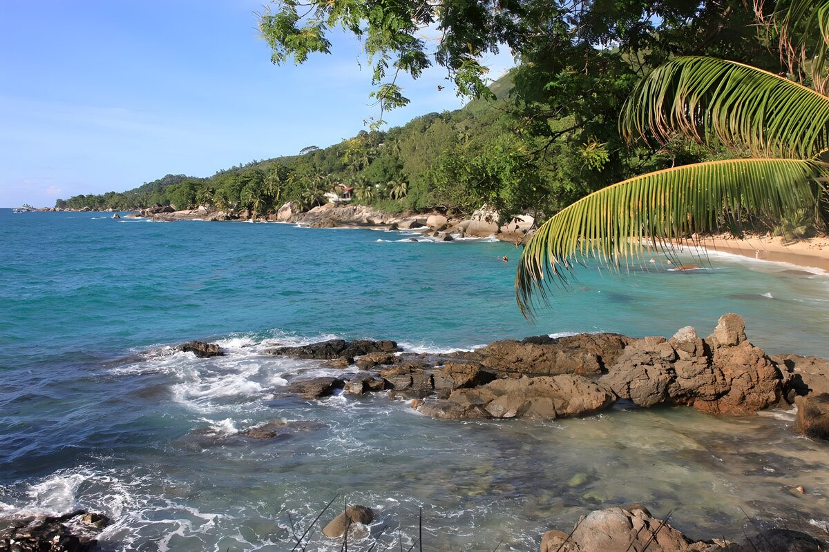 PDGIT7181348: Baia tropicale tra rocce e palme