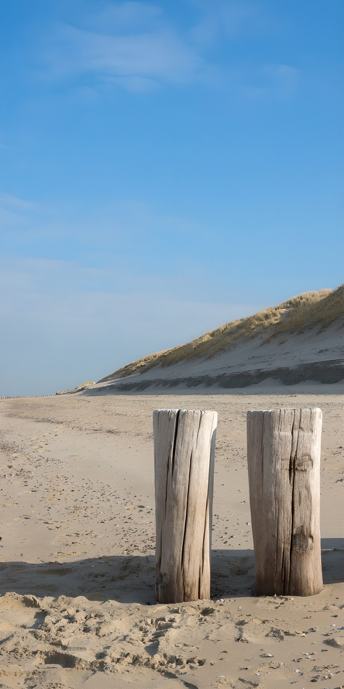 PDGIT6503215: Due pali di legno sulla spiaggia