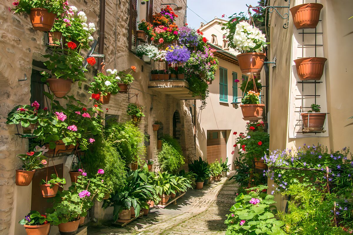 PDGIT3143288: Vicolo al sole tra vasi e fiori