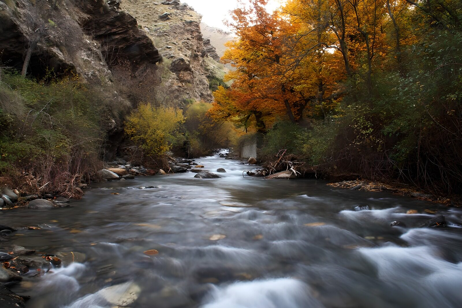 PDGIT3883478: Ruscello tra le rocce del bosco autunnale