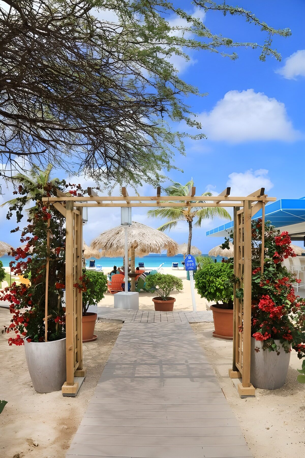 PDGIT1892696: Arco fiorito all’ingresso della spiaggia