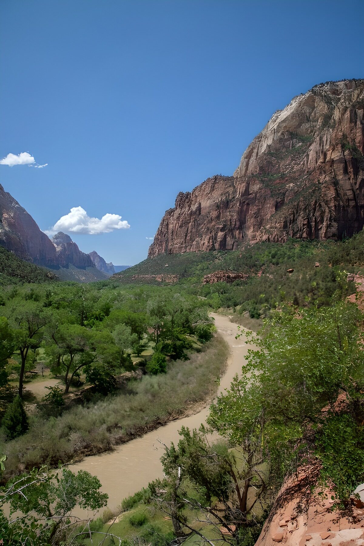 PDGIT1780267: Fiume e verde tra le pareti del canyon