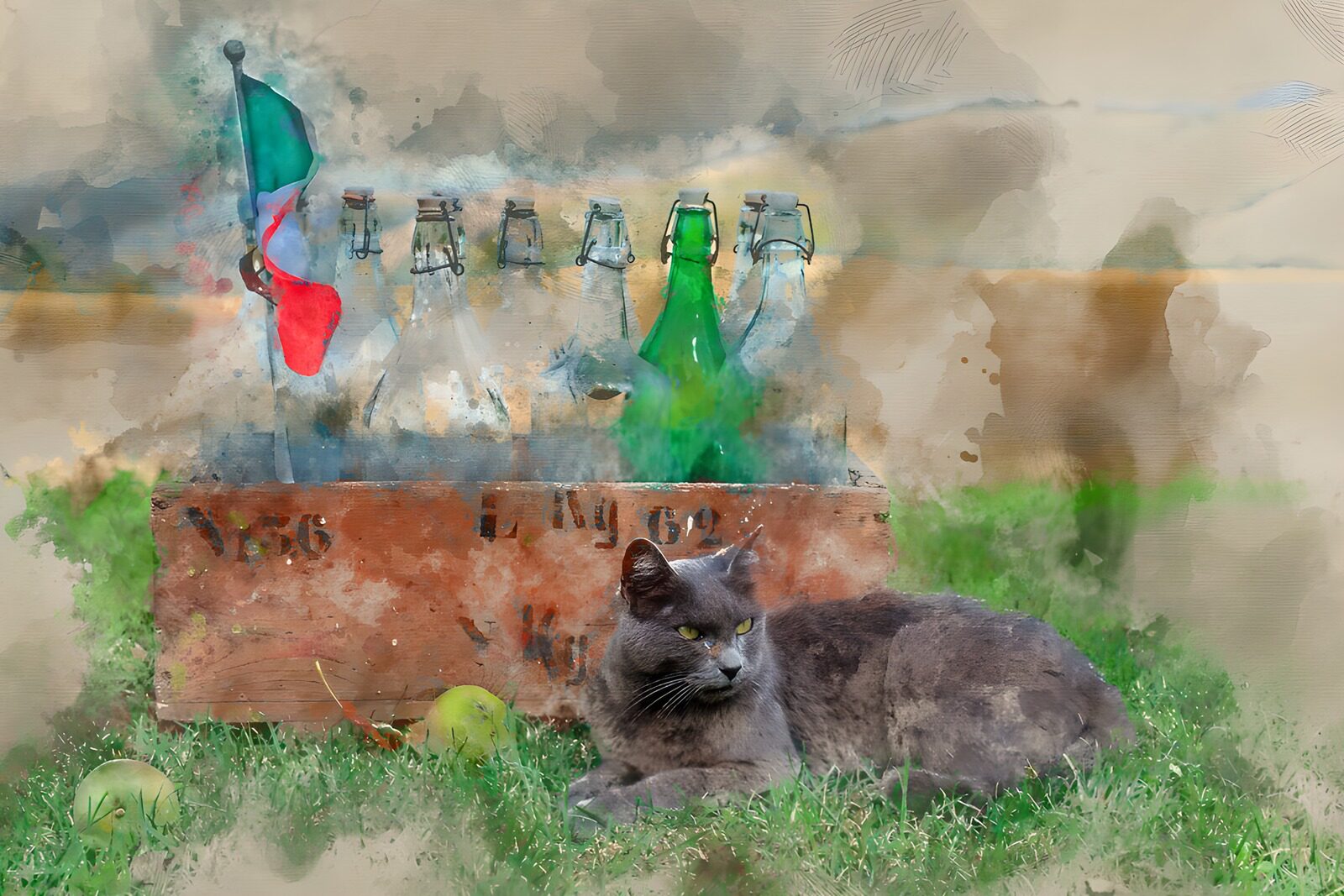 PDGIT3805151: Gatto grigio tra mele e bottiglie