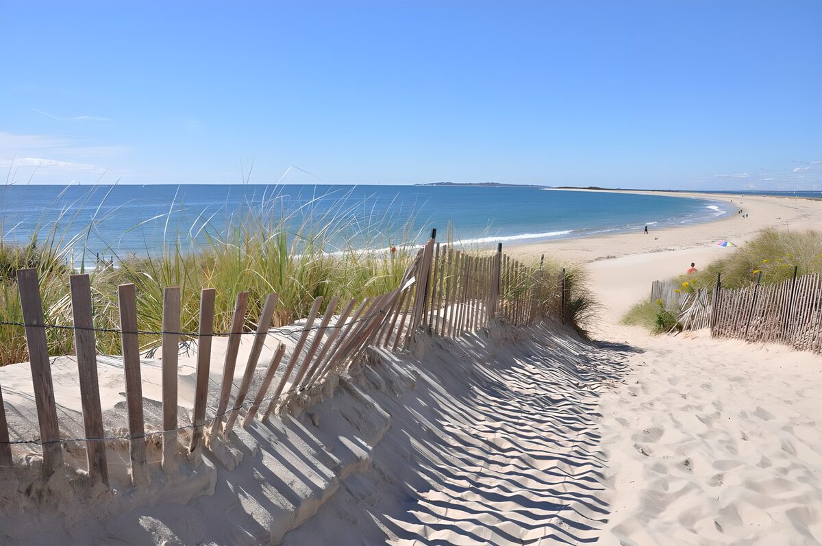 PDGIT5279952: Sentiero tra le dune verso il mare