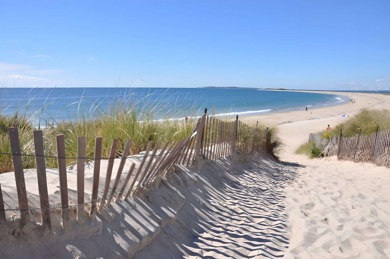 PDGIT5279952: Sentiero tra le dune verso il mare