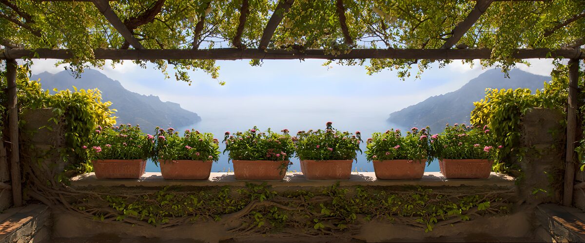 PDGIT8110139: Terrazza fiorita all’ombra sul mare