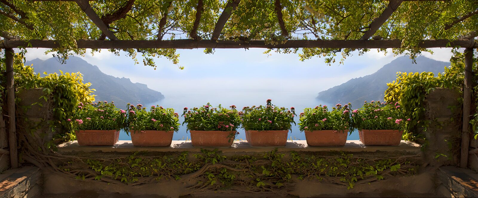PDGIT8110139: Terrazza fiorita all’ombra sul mare