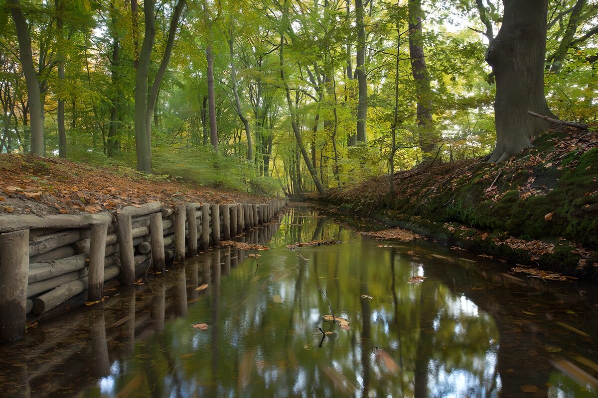 PDGIT2121143: Acqua quieta tra gli alberi del bosco
