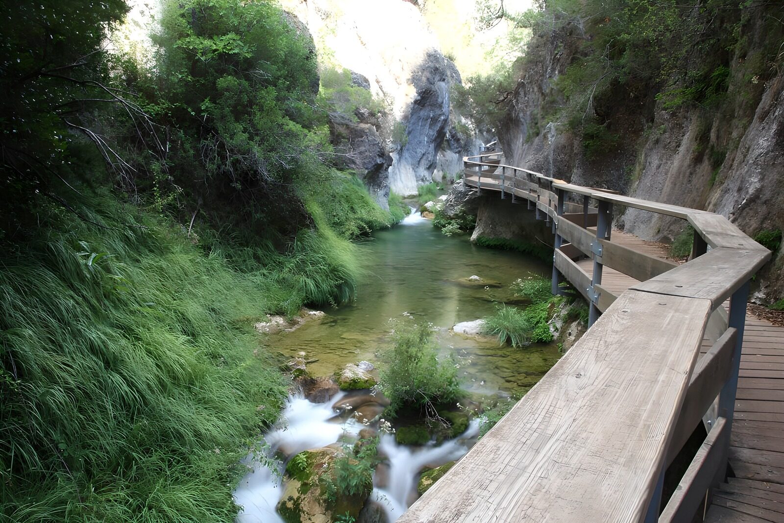PDGIT4435657: Ruscello e passerella nella gola