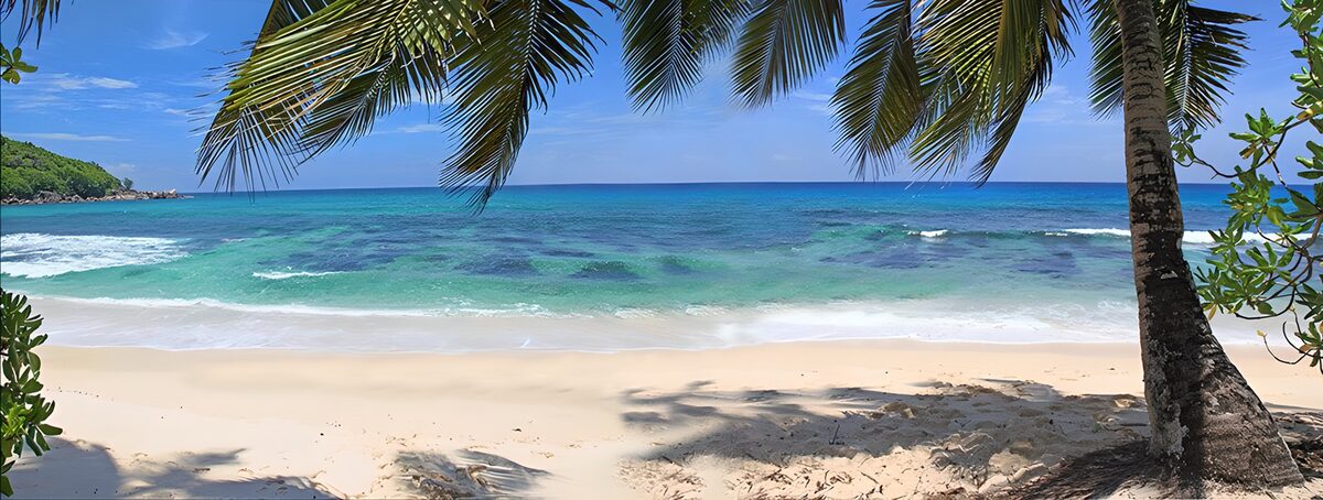 PDGIT3617272: Spiaggia tropicale nella quiete delle palme