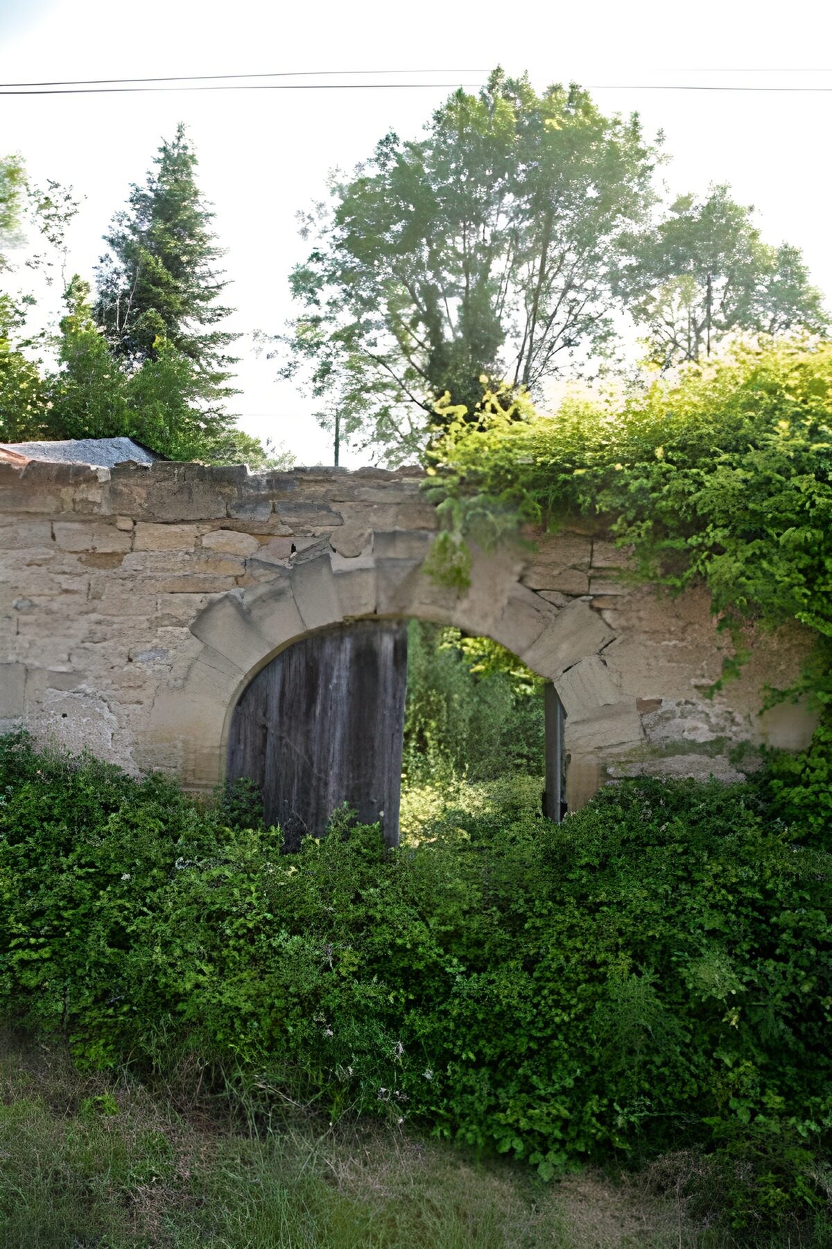 PDGIT4316758: Arco in pietra e cancello tra gli arbusti