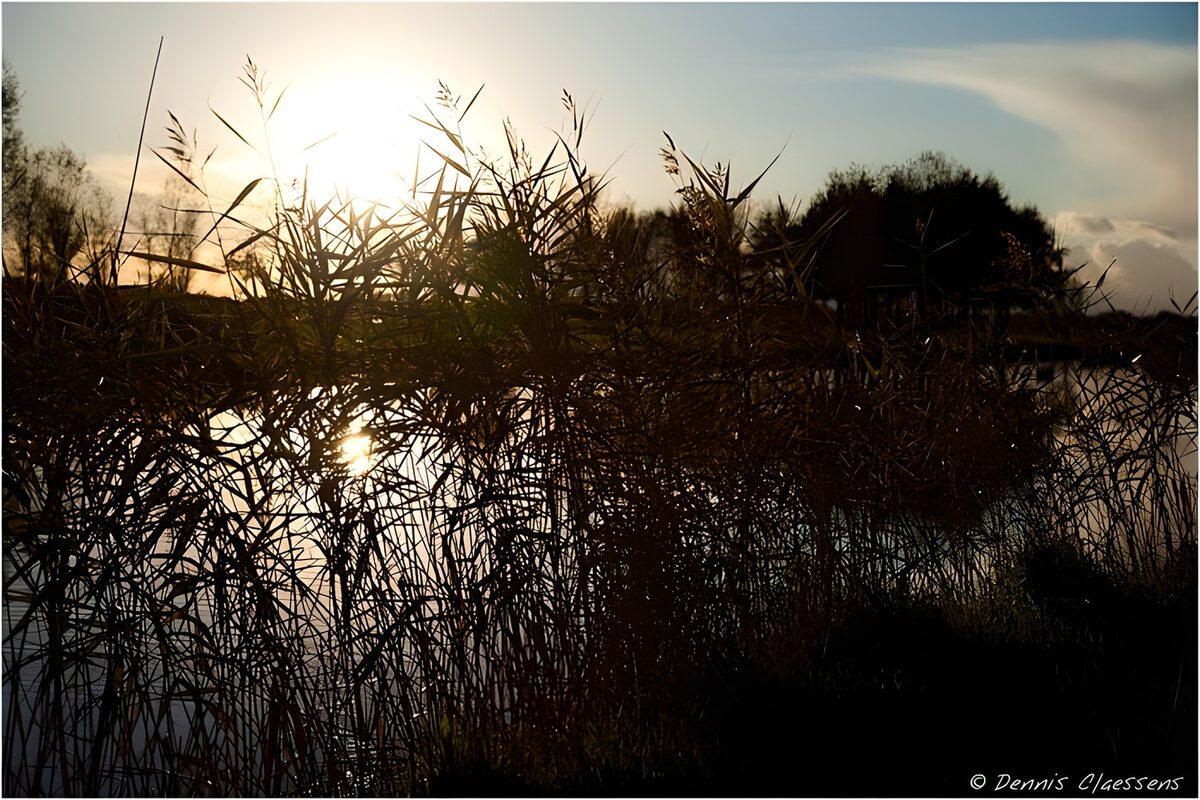PDGIT4938487: Canneto in controluce al tramonto