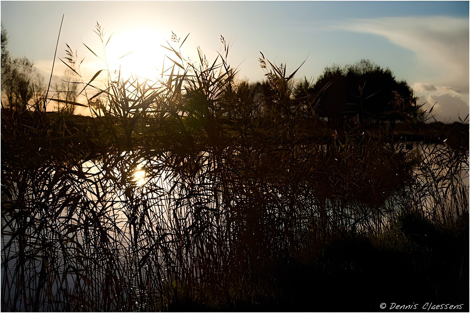 PDGIT4938487: Canneto in controluce al tramonto