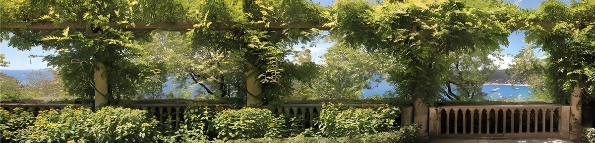 PDGIT9653142: Pergola sul mare nella luce d’estate