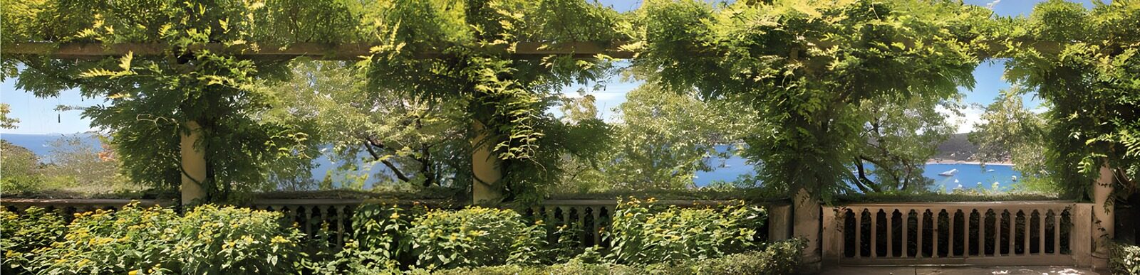 PDGIT9653142: Pergola sul mare nella luce d’estate