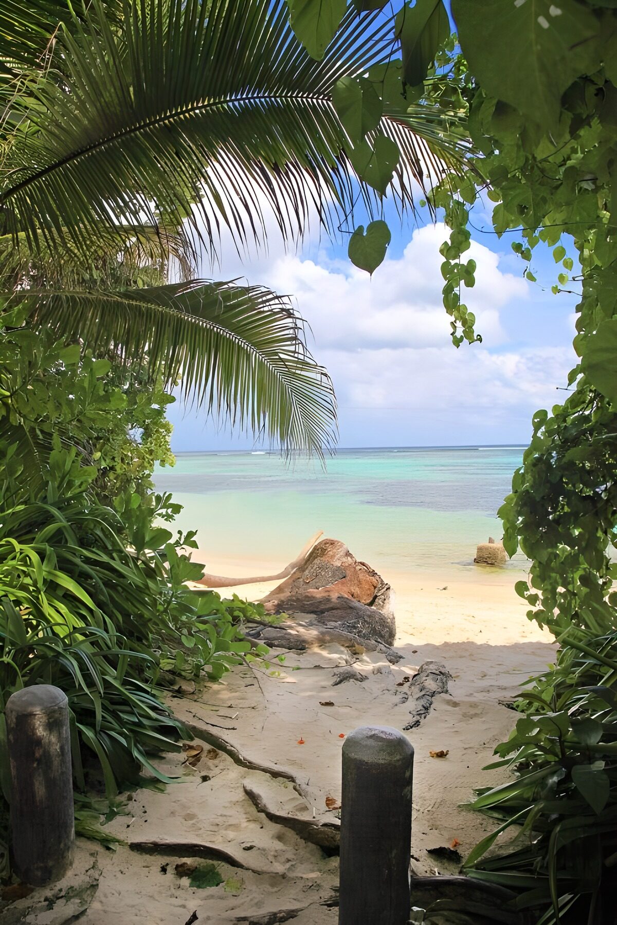 Spiaggia tropicale tra le palme