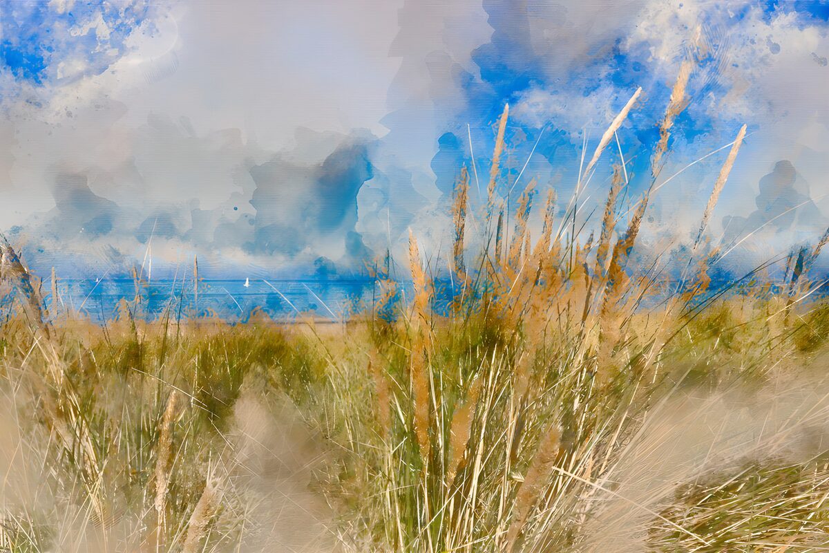 PDGIT1856939: Dune erbose, mare blu e nuvole d’estate