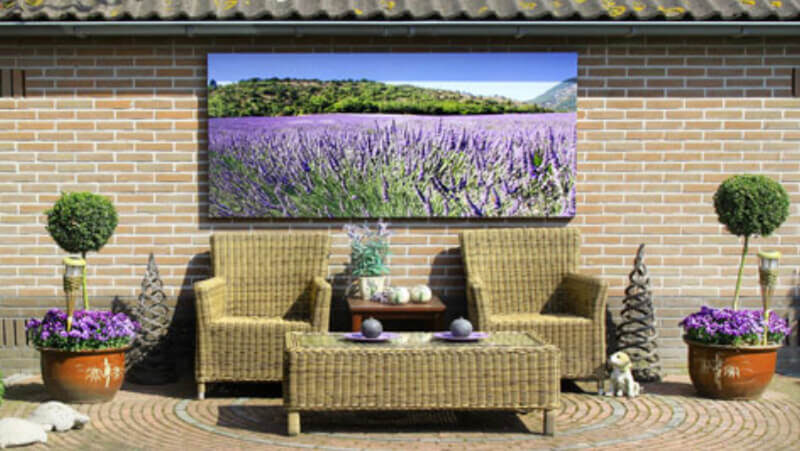 Un bellissimo campo di lavanda